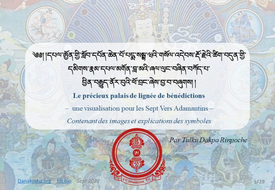 (Français) Visualisation pour les Sept Vers Adamantins